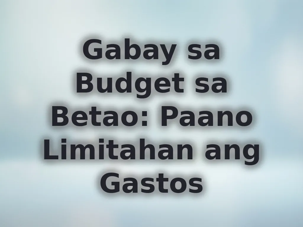 Gabay sa budget